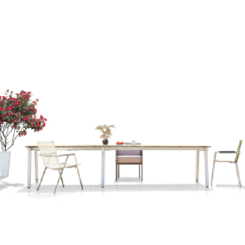 MAXXIMUS Extension Table