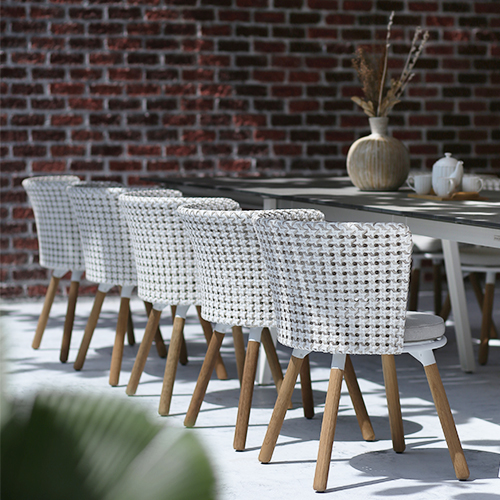 DAISY MAE Dining Chair Teak Legs