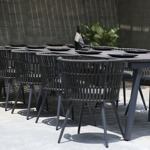 DAISY RAE Dining Chair & MAXXIMUS Extension Table