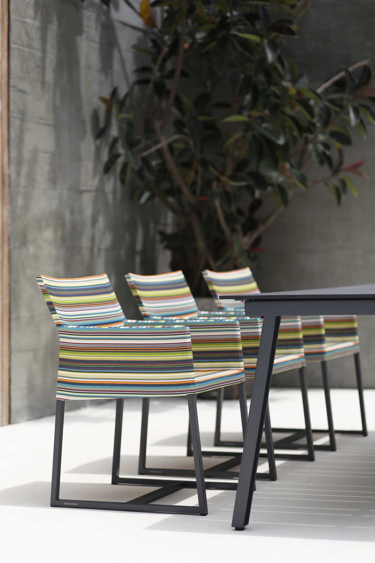 STRIPE_dining_chair_medium