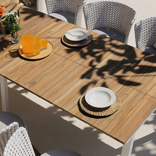 MAXXIMUS Extension Table & DAISY MAE Dining Chair