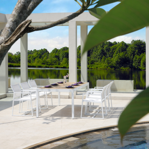 ALLUX Carver Chair & Dining Table