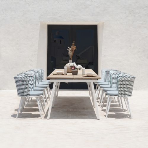 MAXXIMUS Ext Table & DAISY MAE Dining Chair Alu Legs
