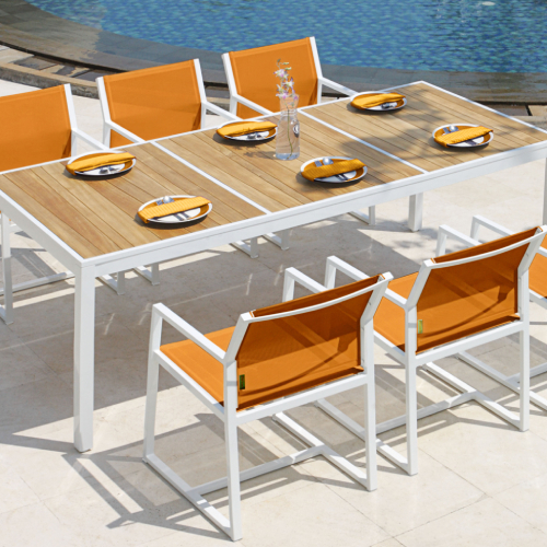 ALLUX Dining Table & Carver Chair