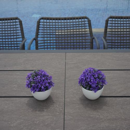 BAIA Extension Table HPL Detail