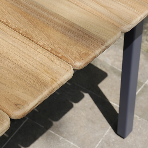 MAXXIMUS Ext Table Detail